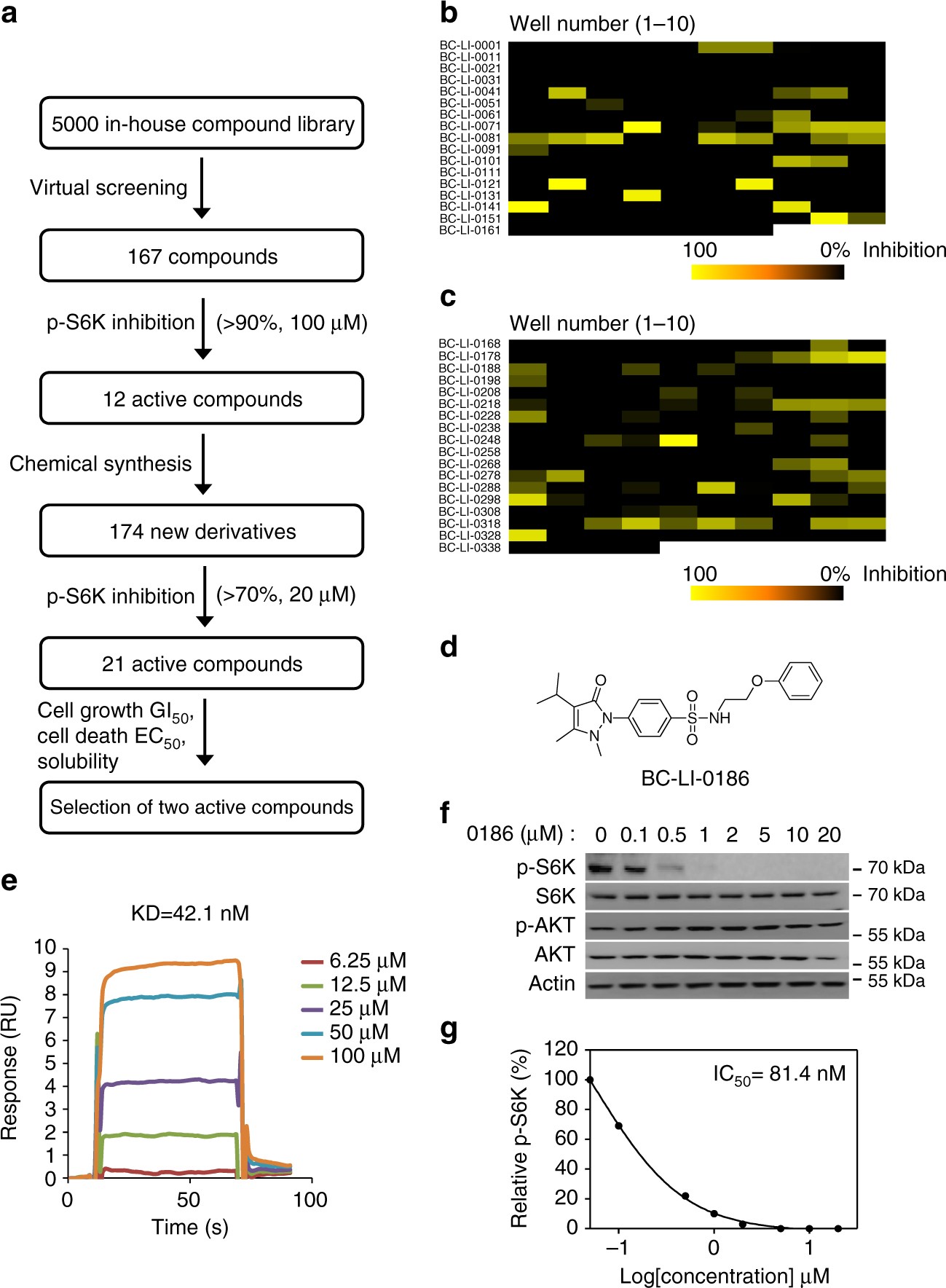 Control Of Leucine-Dependent Mtorc1 Pathway Through Chemical Intervention  Of Leucyl-Trna Synthetase And Ragd Interaction | Nature Communications