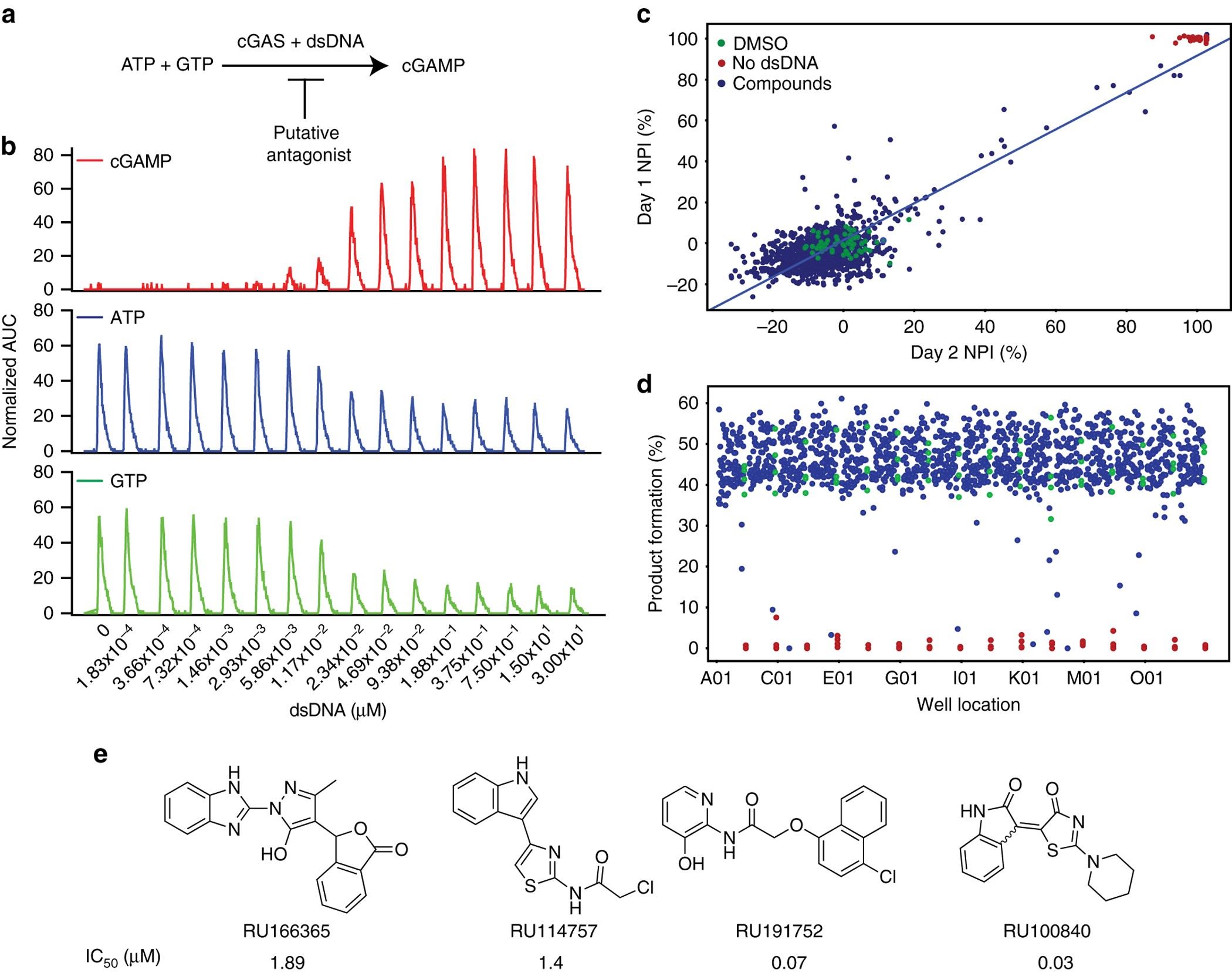 Small Molecule Inhibition Of Cgas Reduces Interferon Expression In Primary Macrophages From Autoimmune Mice Nature Communications Small Molecule Inhibition Of Cgas Reduces Interferon Expression In Primary Macrophages From Autoimmune Mice Nature Communications
