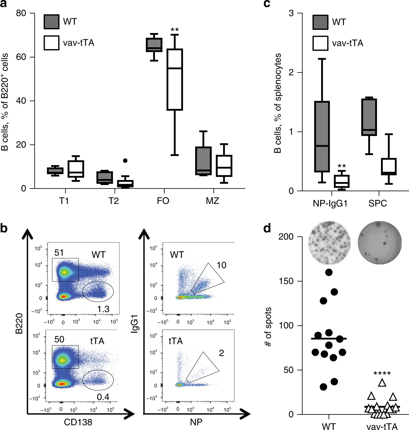 DNA-binding of the Tet-transactivator curtails antigen-induced lymphocyte  activation in mice | Nature Communications