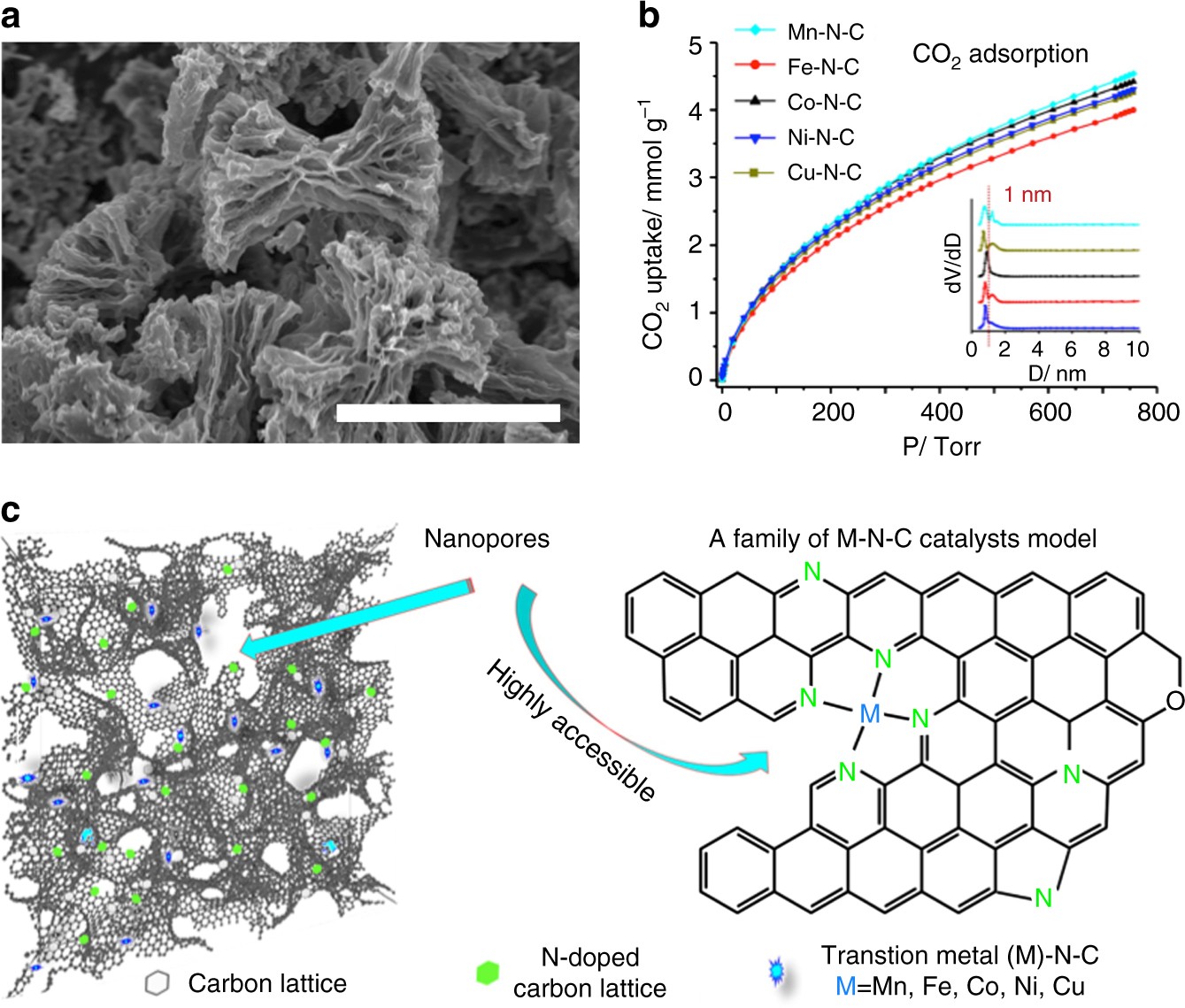Understanding activity and selectivity of metal-nitrogen-doped carbon  catalysts for electrochemical reduction of CO2 | Nature Communications