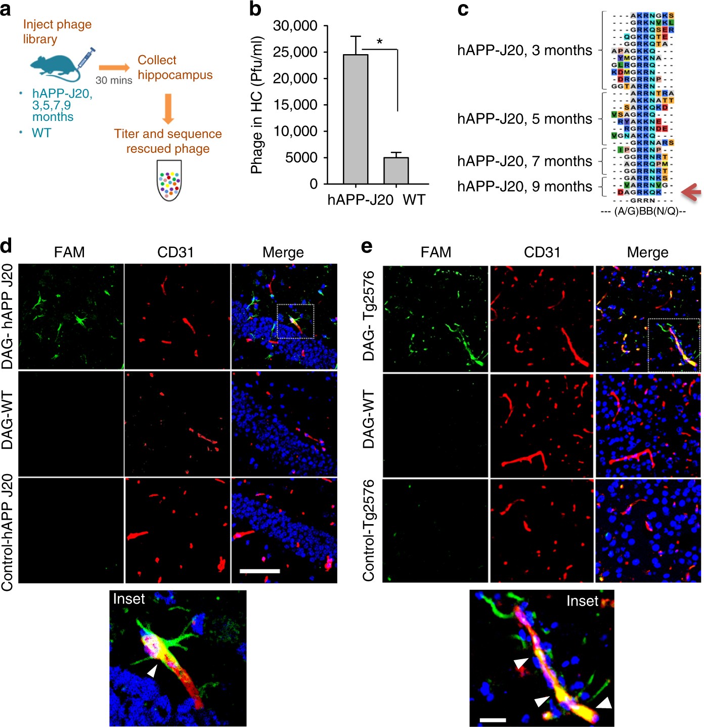 Early identification of Alzheimer's disease in mouse models