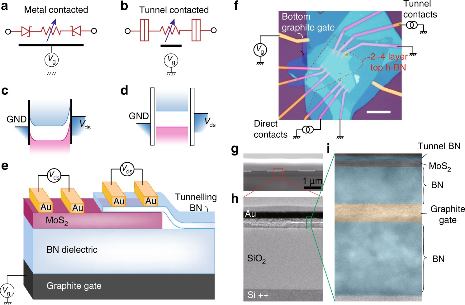 Gate-controlled reversible rectifying behaviour in tunnel contacted  atomically-thin MoS2 transistor | Nature Communications
