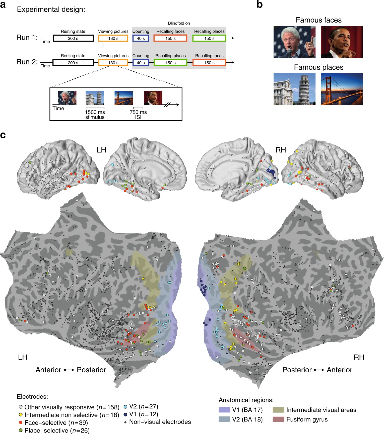 Neuronal baseline shifts underlying boundary setting during free recall