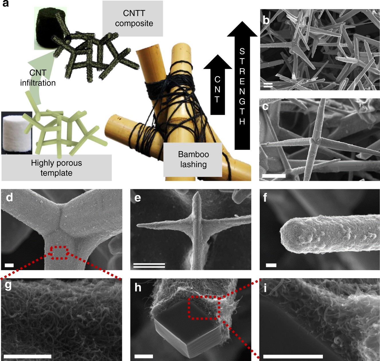 Hierarchical self-entangled carbon nanotube tube networks