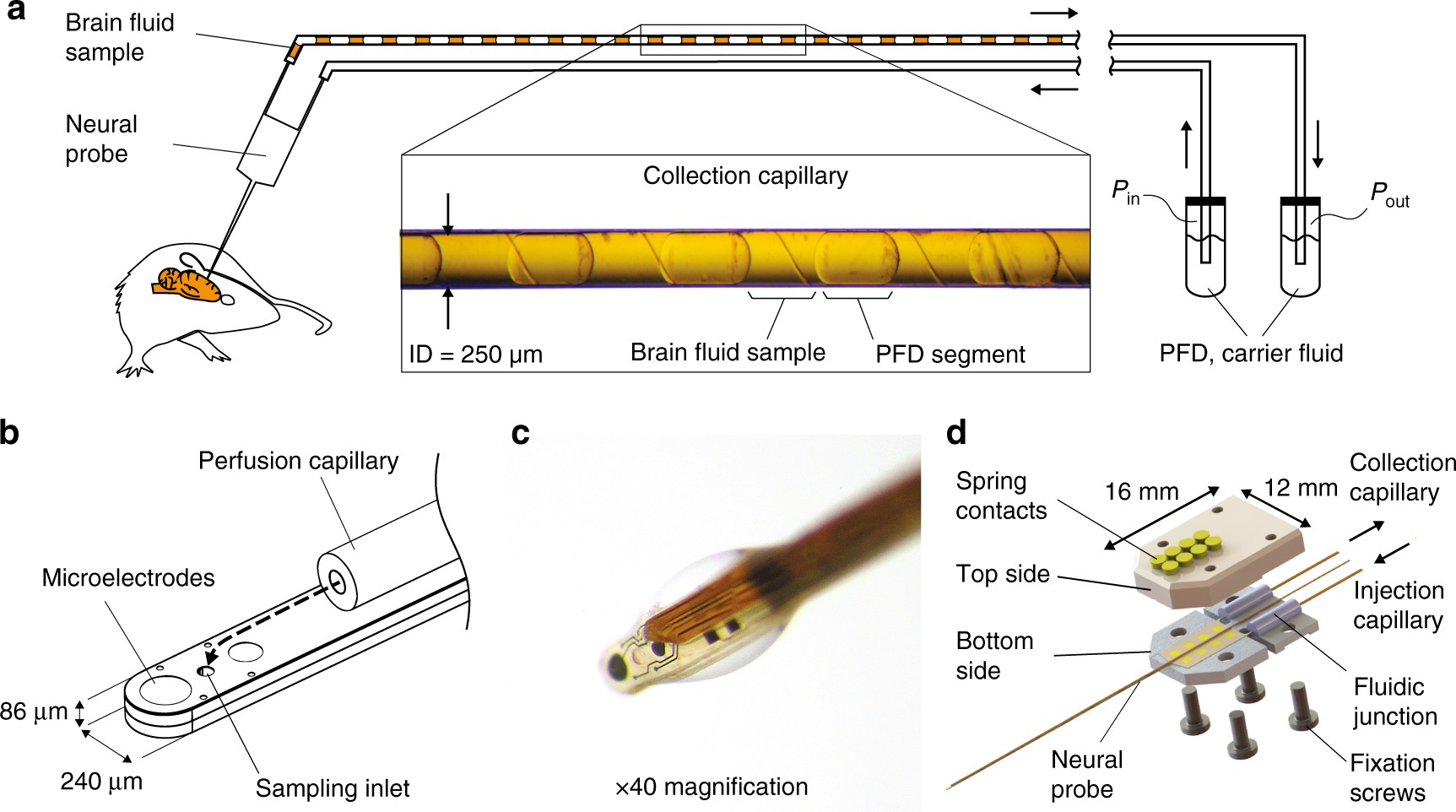 In vivo neurochemical measurements in cerebral tissues using a droplet-based monitoring system | Nature Communications