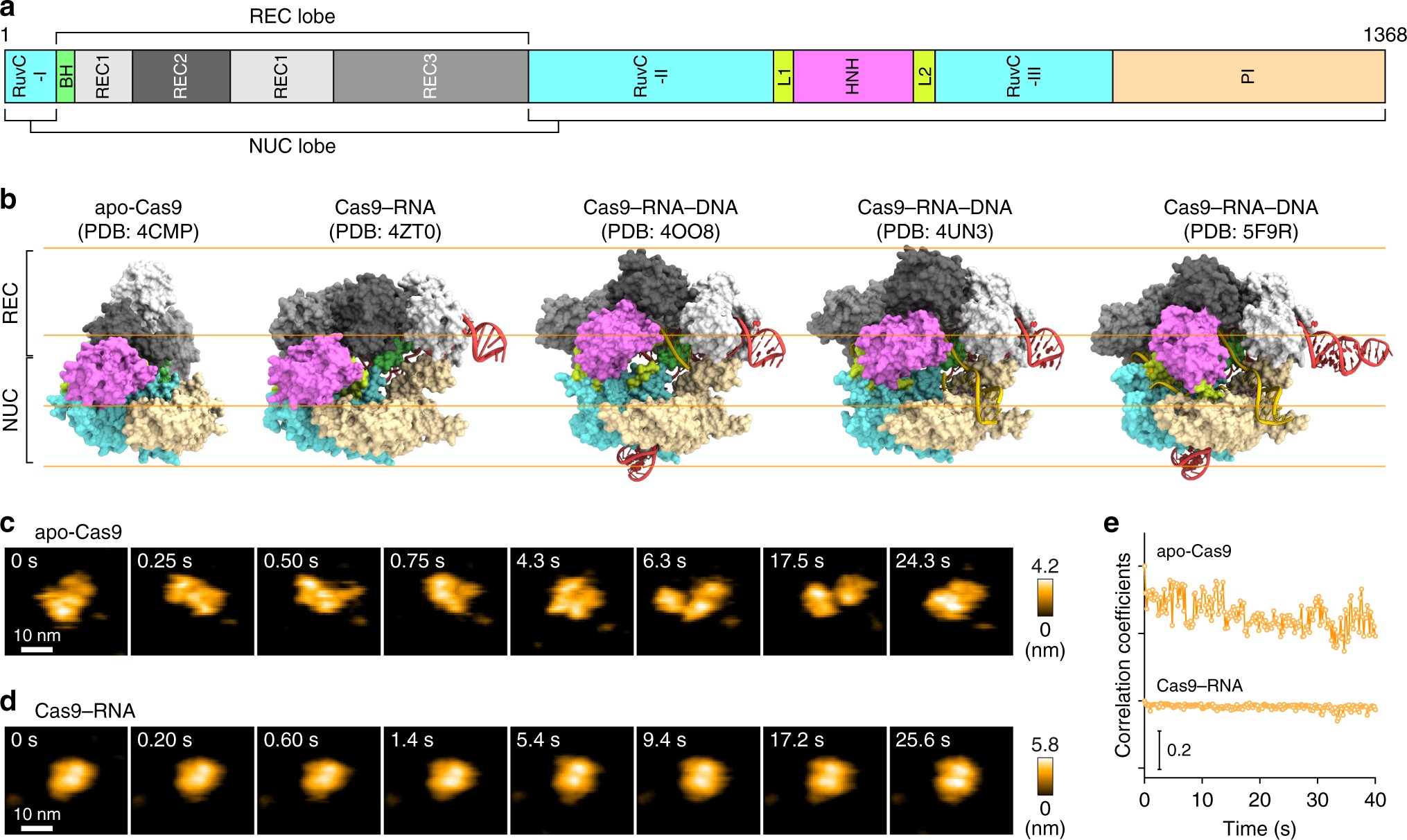 Sample Essay Thesis The Highspeed Function Described In A Nature Communications Paper Has Enabled Fast Filmlike Scans Of The Biomolecules Taking Part In The Molecular Compare Contrast Essay Papers also Thesis Statement For Persuasive Essay The Top Crispr Papers Of Of Schemes And Memes Blog Essay On Healthy Foods