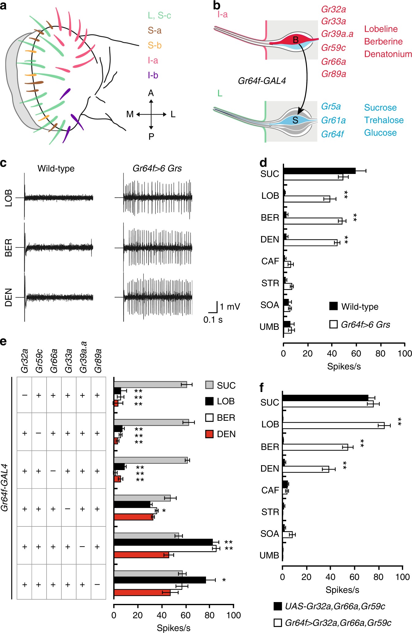 Figures and data in Bitter taste receptors confer diverse