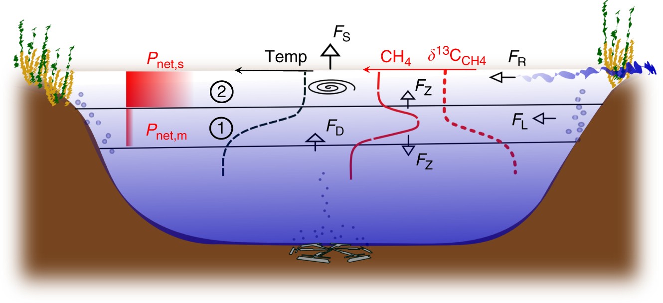 Full Scale Evaluation Of Methane Production Under Oxic Conditions In A Mesotrophic Lake Nature Communications