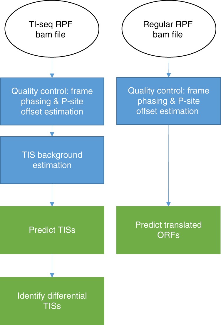 PDF) BIASES IN CRITICAL READING OF TIS LITERATURE