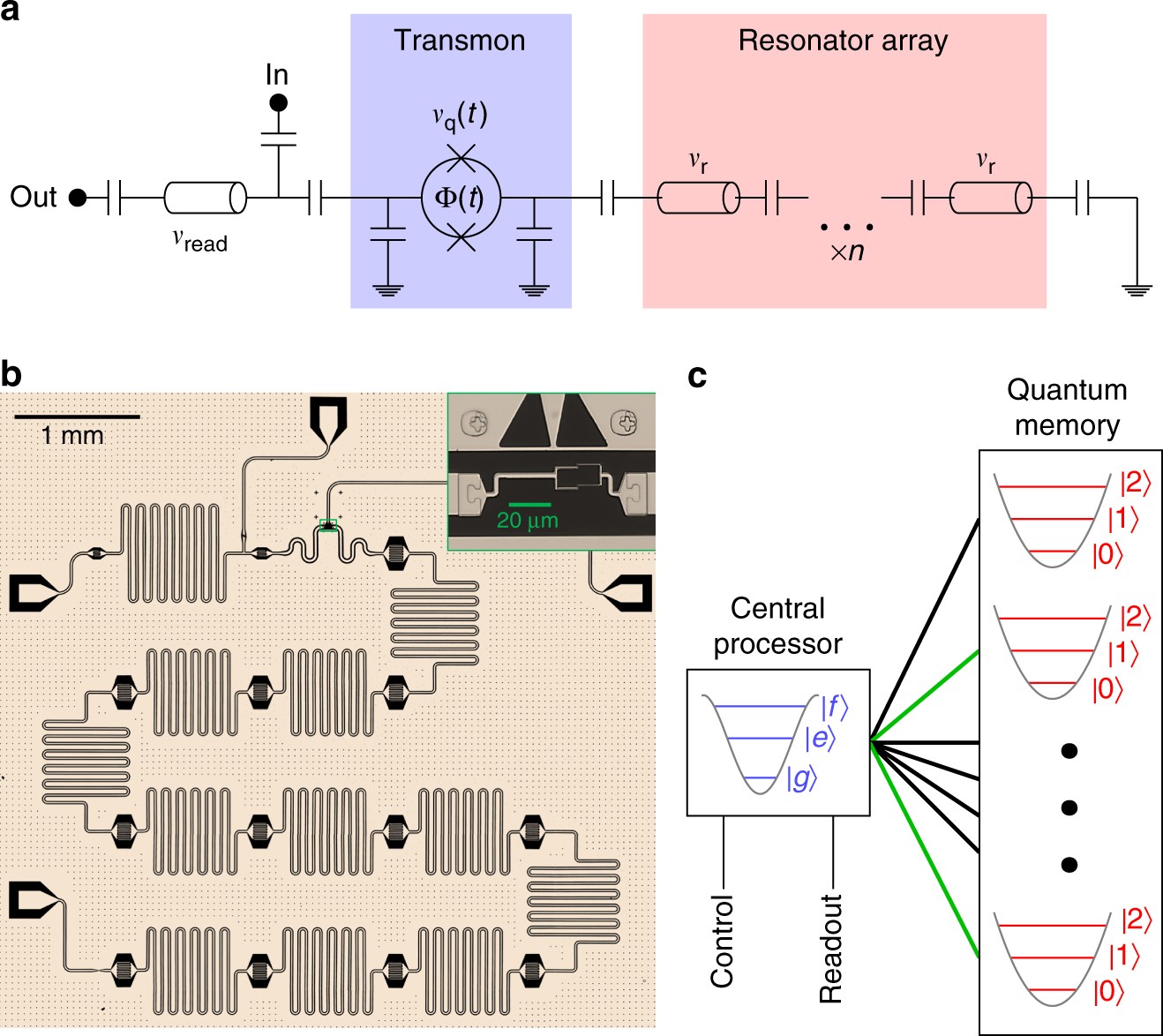 Random access quantum information processors using multimode circuit quantum  electrodynamics | Nature Communications