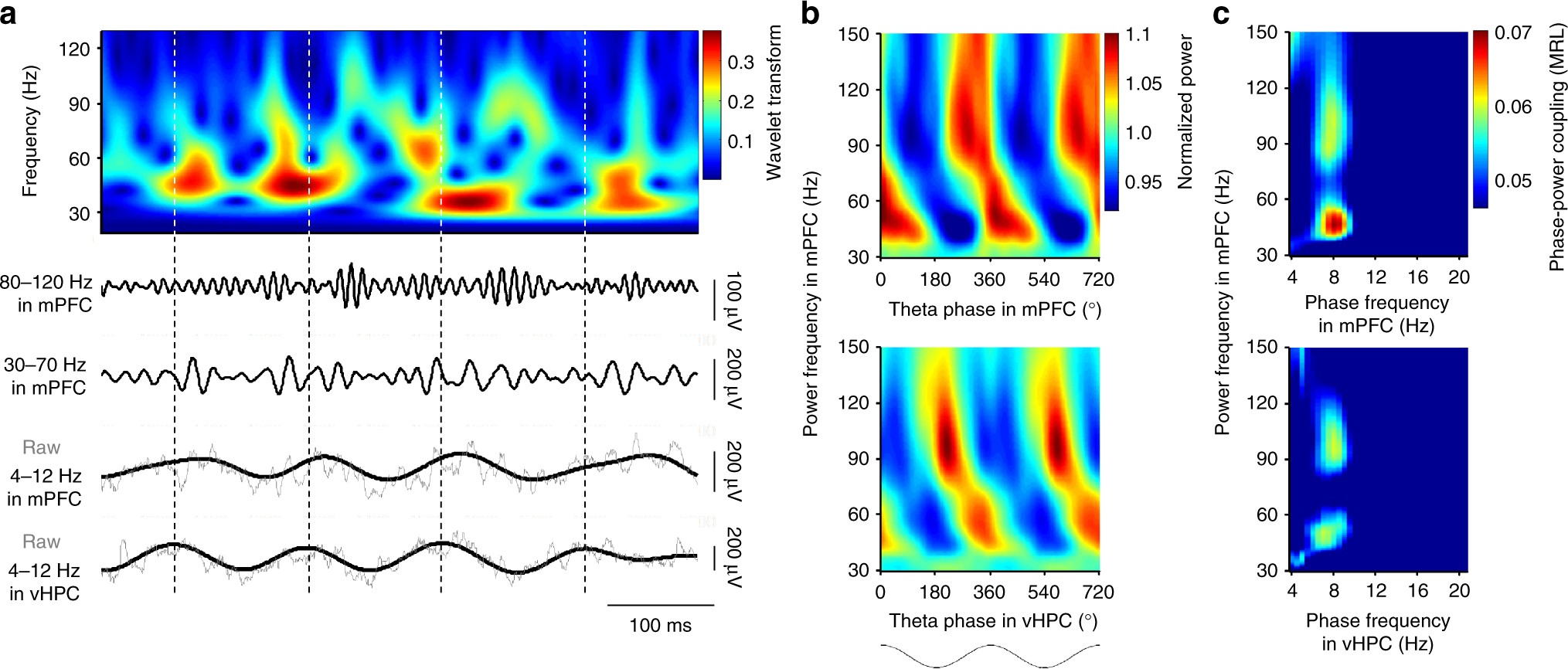Hippocampal-prefrontal theta-gamma coupling during performance of a spatial  working memory task | Nature Communications
