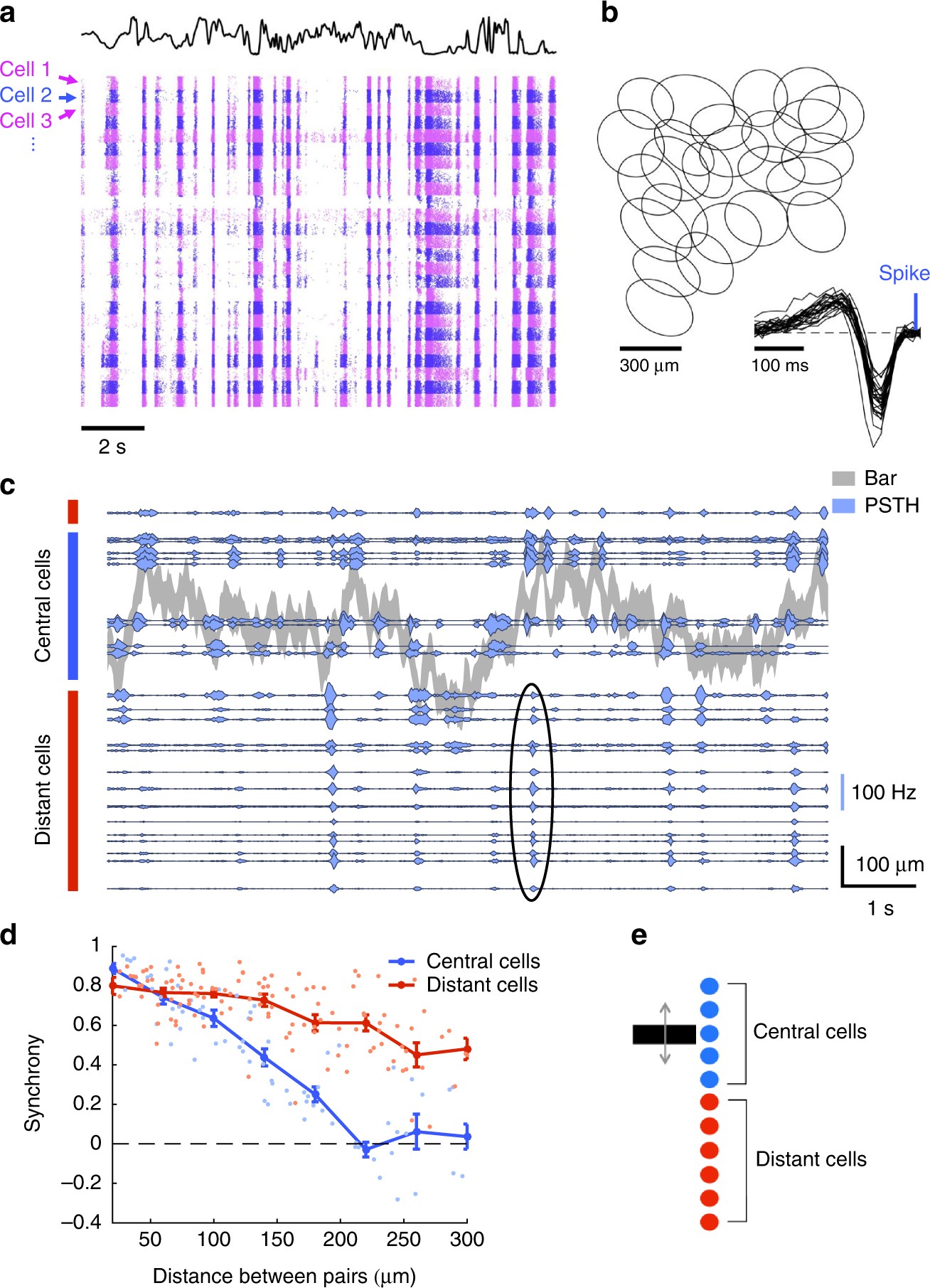 Multiplexed computations in retinal ganglion cells of a single type |  Nature Communications