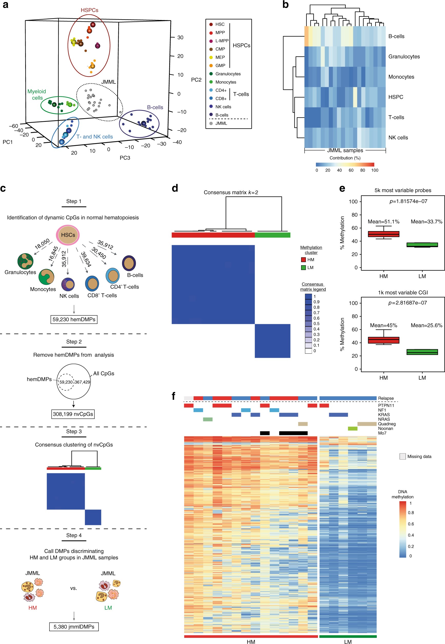 Methylation Pathway Chart