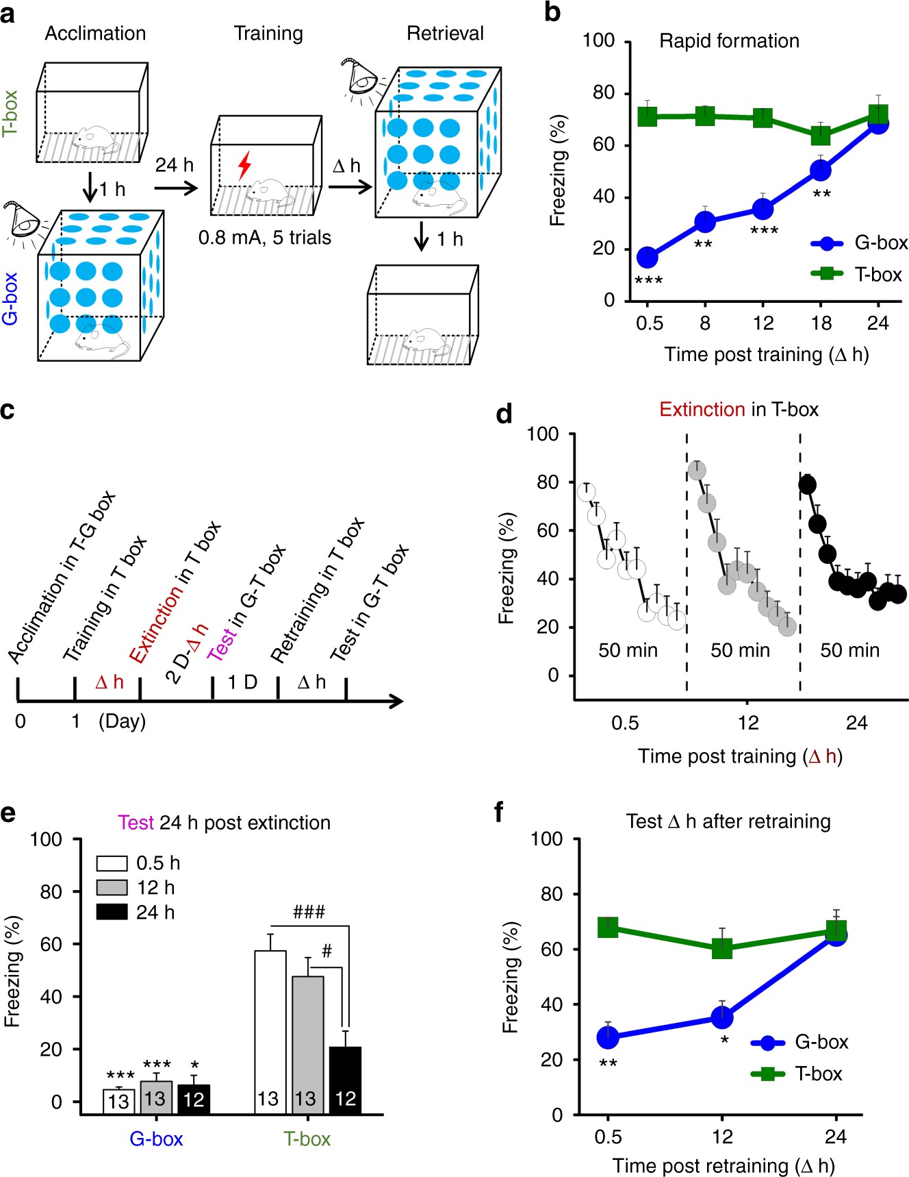 The interhemispheric CA1 circuit governs rapid generalisation but not fear memory | Nature Communications