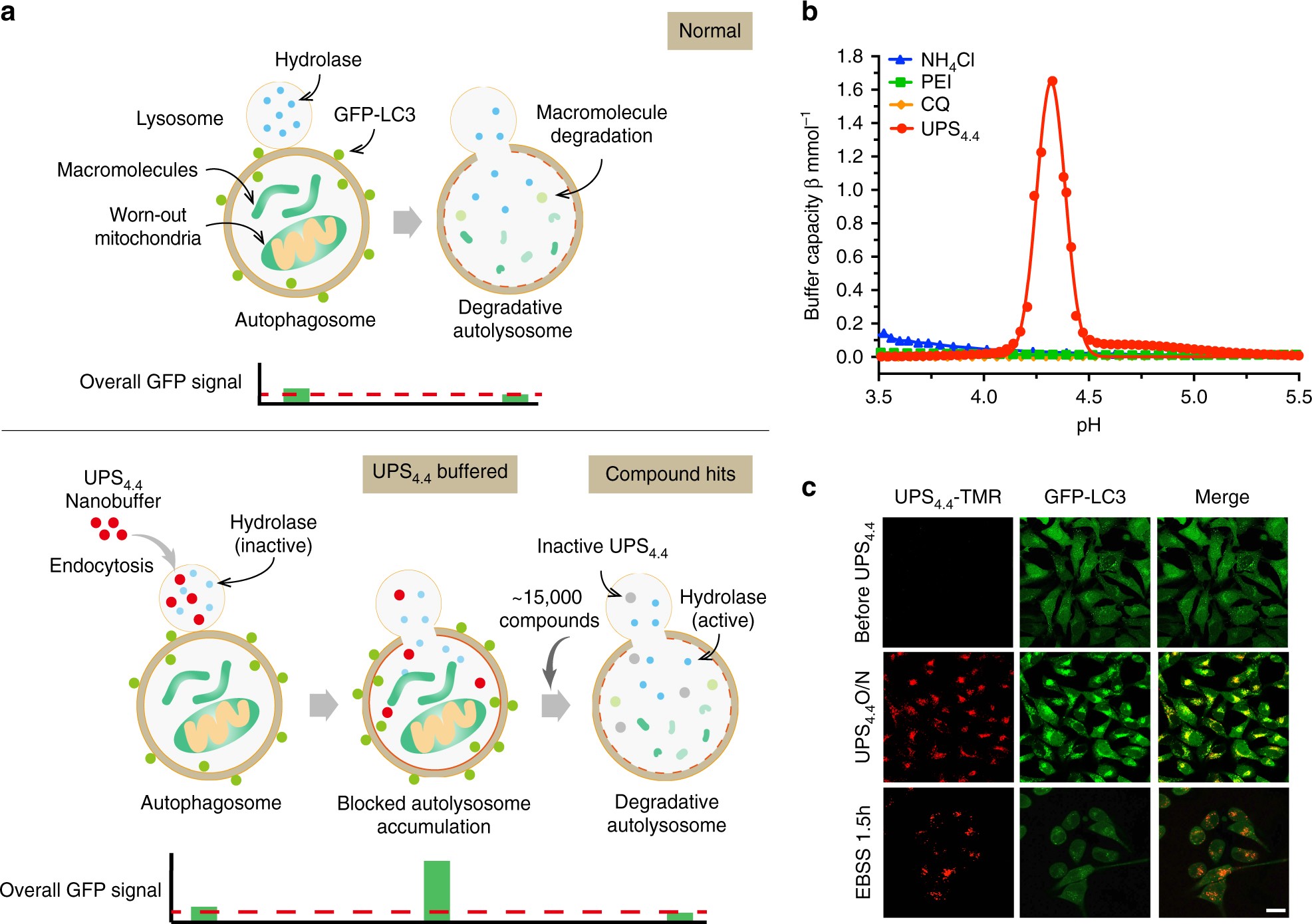 Small Molecule Tfeb Pathway Agonists That Ameliorate