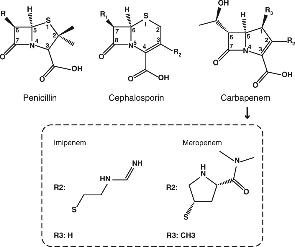 The mechanism of NDM-1-catalyzed carbapenem hydrolysis is distinct from  that of penicillin or cephalosporin hydrolysis | Nature Communications