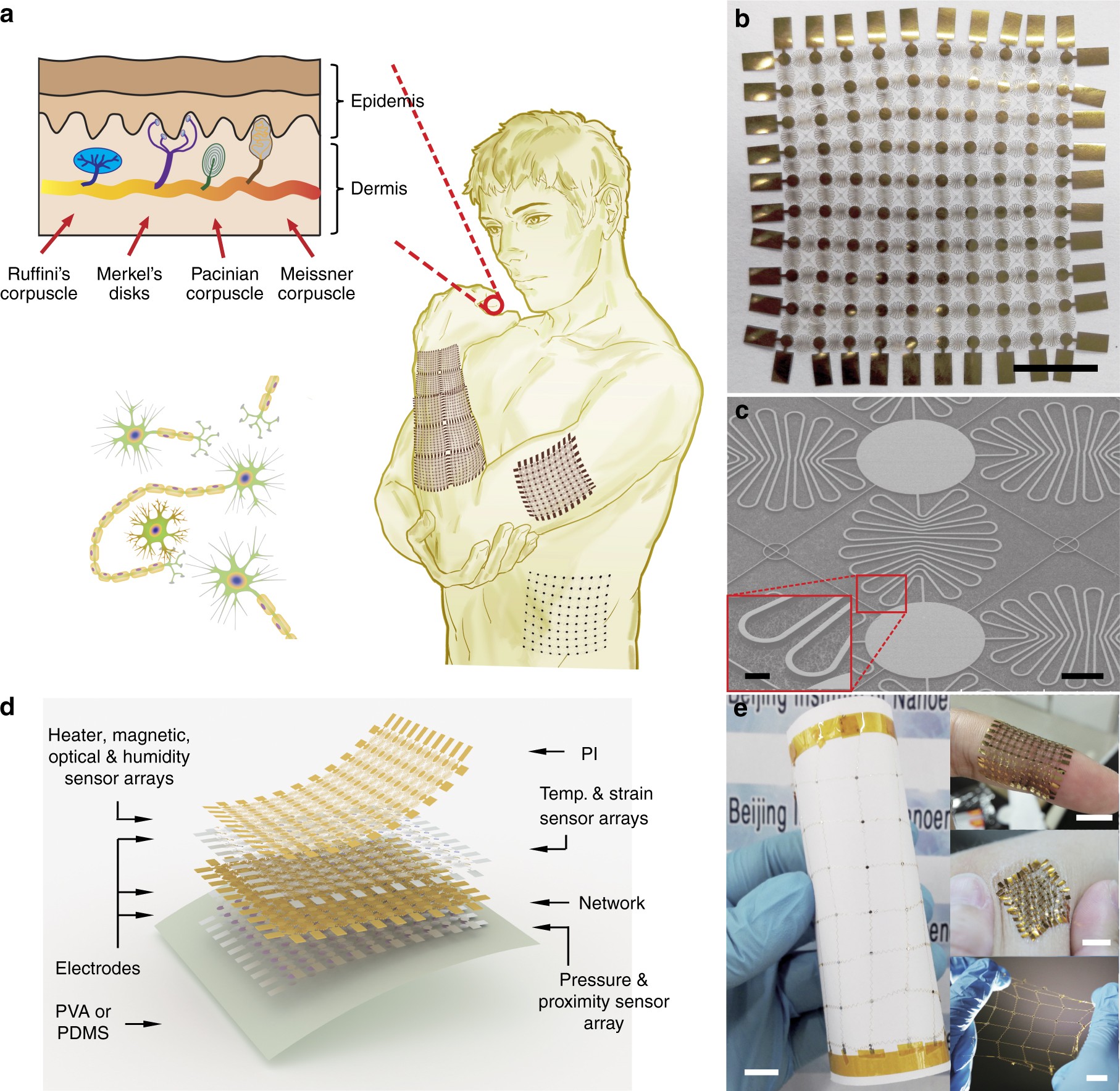 Highly Precise Multifunctional Thermal Management-Based Flexible Sensing  Sheets