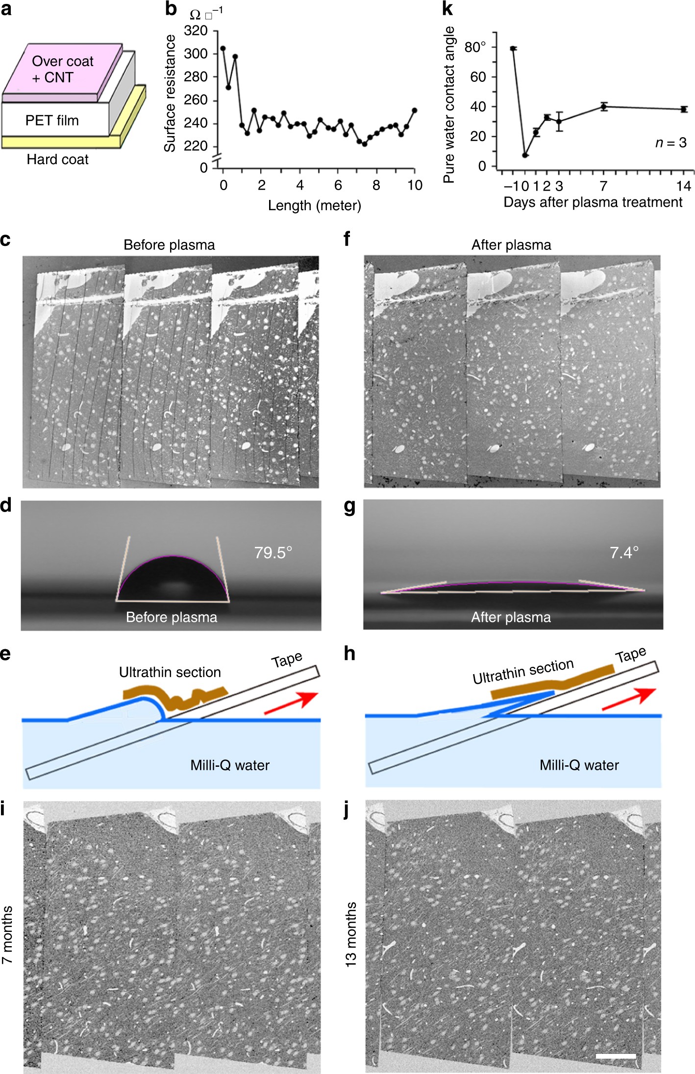 A carbon nanotube tape for serial-section electron microscopy of