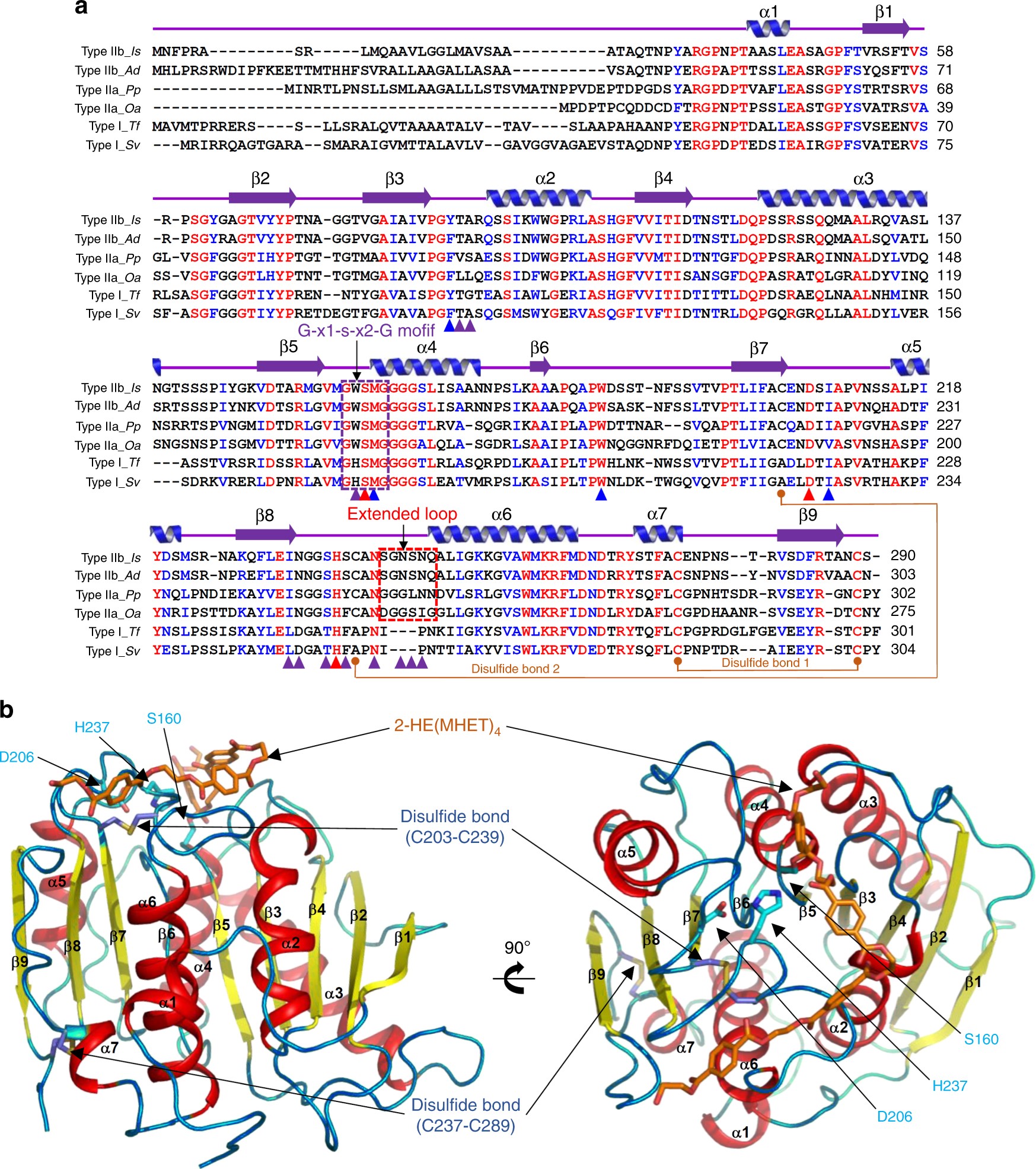 Structural Insight Into Molecular Mechanism Of Poly Ethylene Terephthalate Degradation Nature Communications