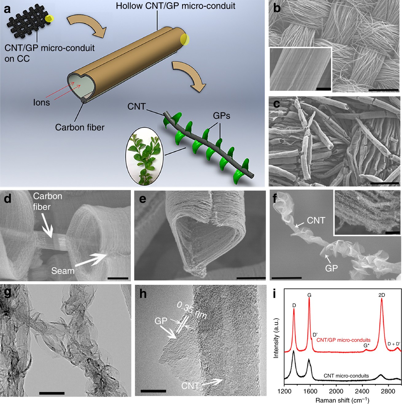 Bioinspired Leaves On Branchlet Hybrid Carbon Nanostructure For Supercapacitors Nature Communications