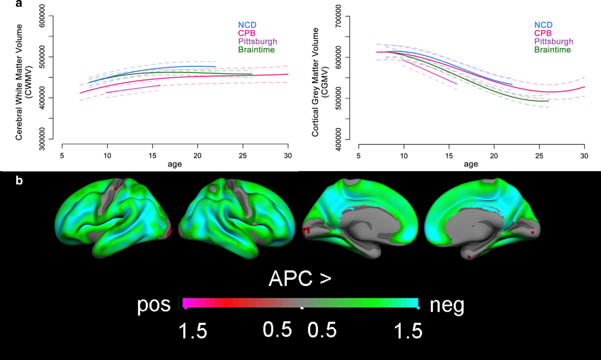 Windows Of Opportunity In Brain Development Chart