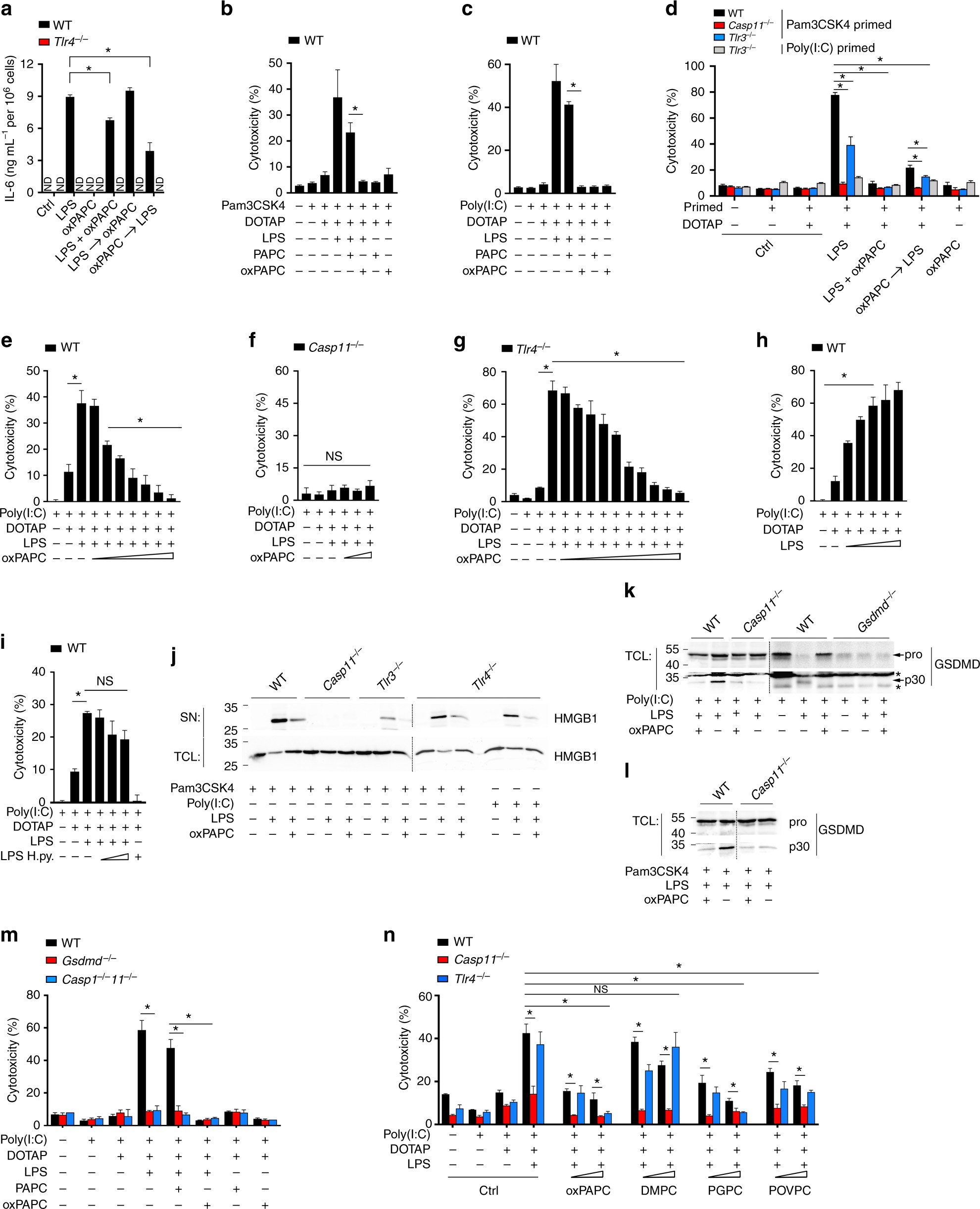 The Oxidized Phospholipid Oxpapc Protects From Septic Shock By Targeting The Non Canonical Inflammasome In Macrophages Nature Communications The Oxidized Phospholipid Oxpapc Protects From Septic Shock By Targeting The Non Canonical Inflammasome In Macrophages Nature Communications