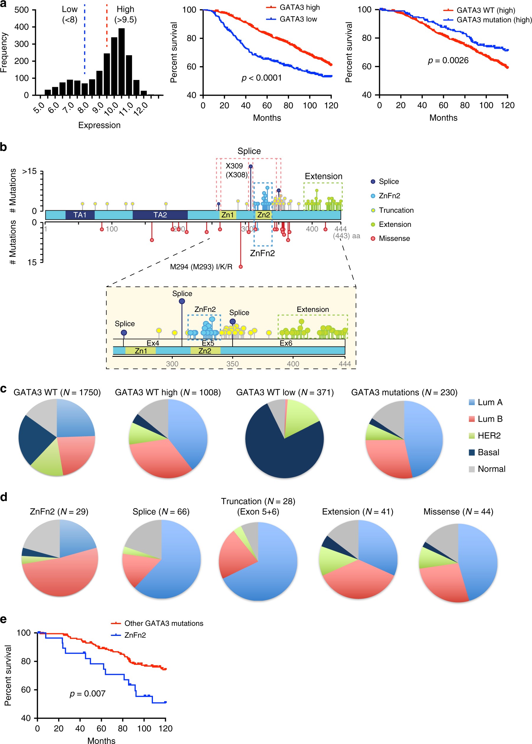 GATA3 zinc finger 2 mutations reprogram the breast cancer transcriptional  network | Nature Communications