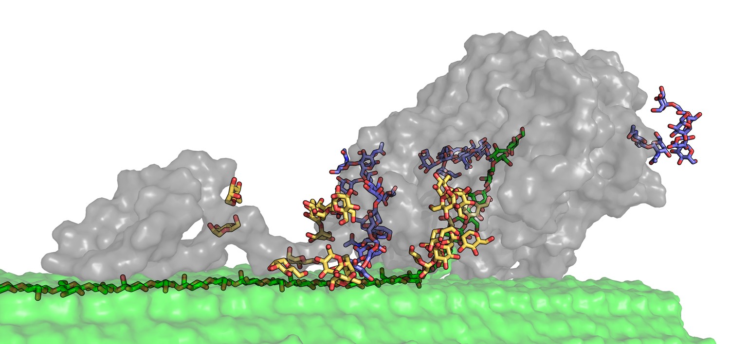 Vb glitch, ~glitchMaster | World of Terraria | Facebook, image size:1500x708