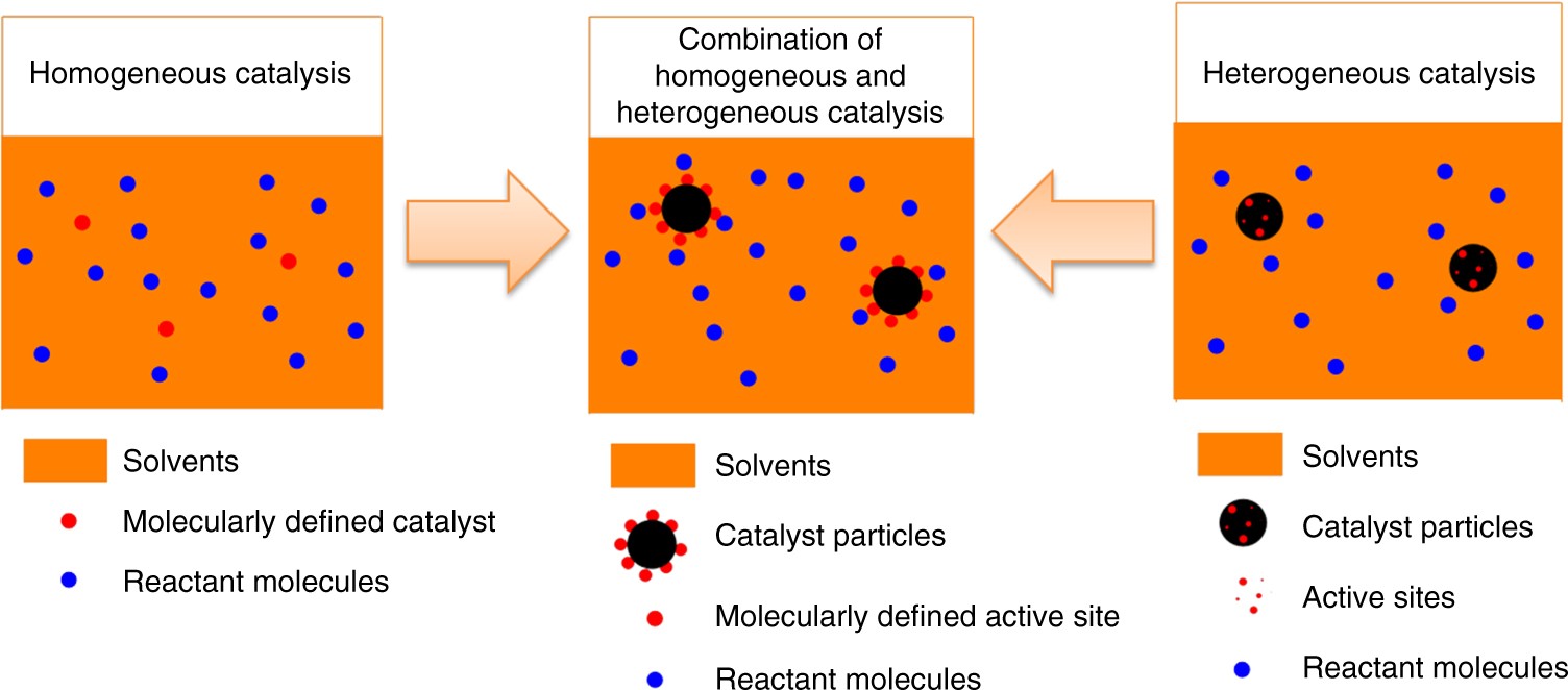 Synthesis of a molecularly defined single-active site heterogeneous catalyst  for selective oxidation of N-heterocycles | Nature Communications
