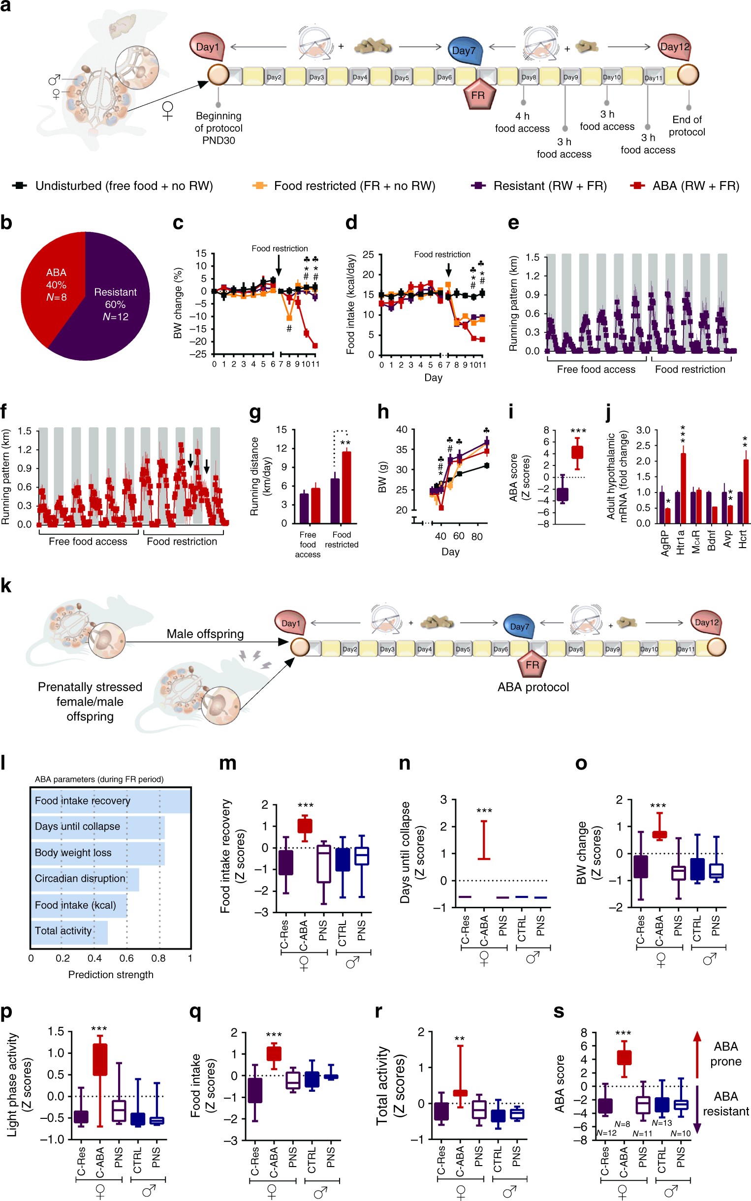 Placental Mir 340 Mediates Vulnerability To Activity Based Anorexia Placental Mir 340 Mediates Vulnerability To Activity Based Anorexia In Mice Nature Communications