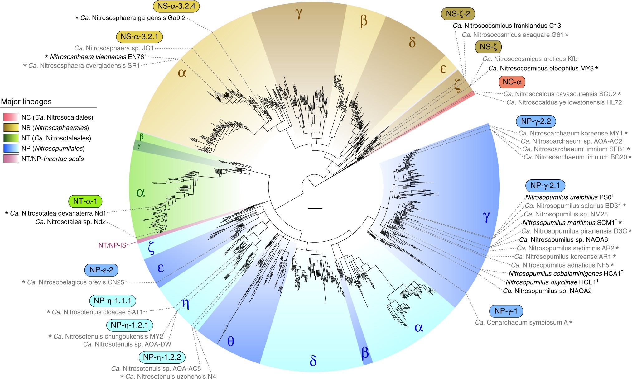 Unifying The Global Phylogeny And Environmental Distribution Of Unifying The Global Phylogeny And Environmental Distribution Of Ammonia Oxidising Archaea Based On Amoa Genes Nature Communications