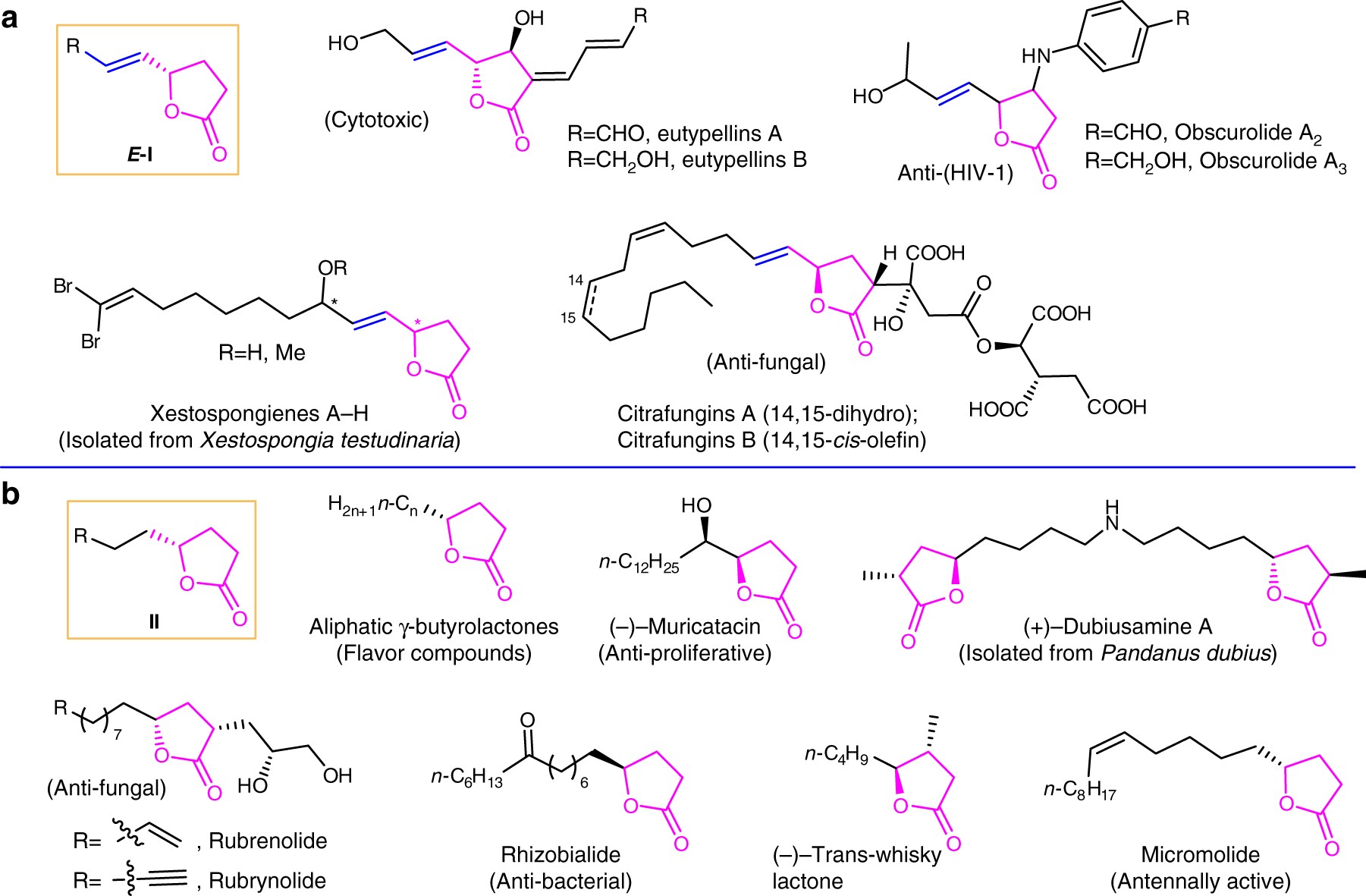 Gold Catalyzed Stereoselective Cycloisomerization Of Allenoic Acids For Two Types Of Common Natural G Butyrolactones Nature Communications