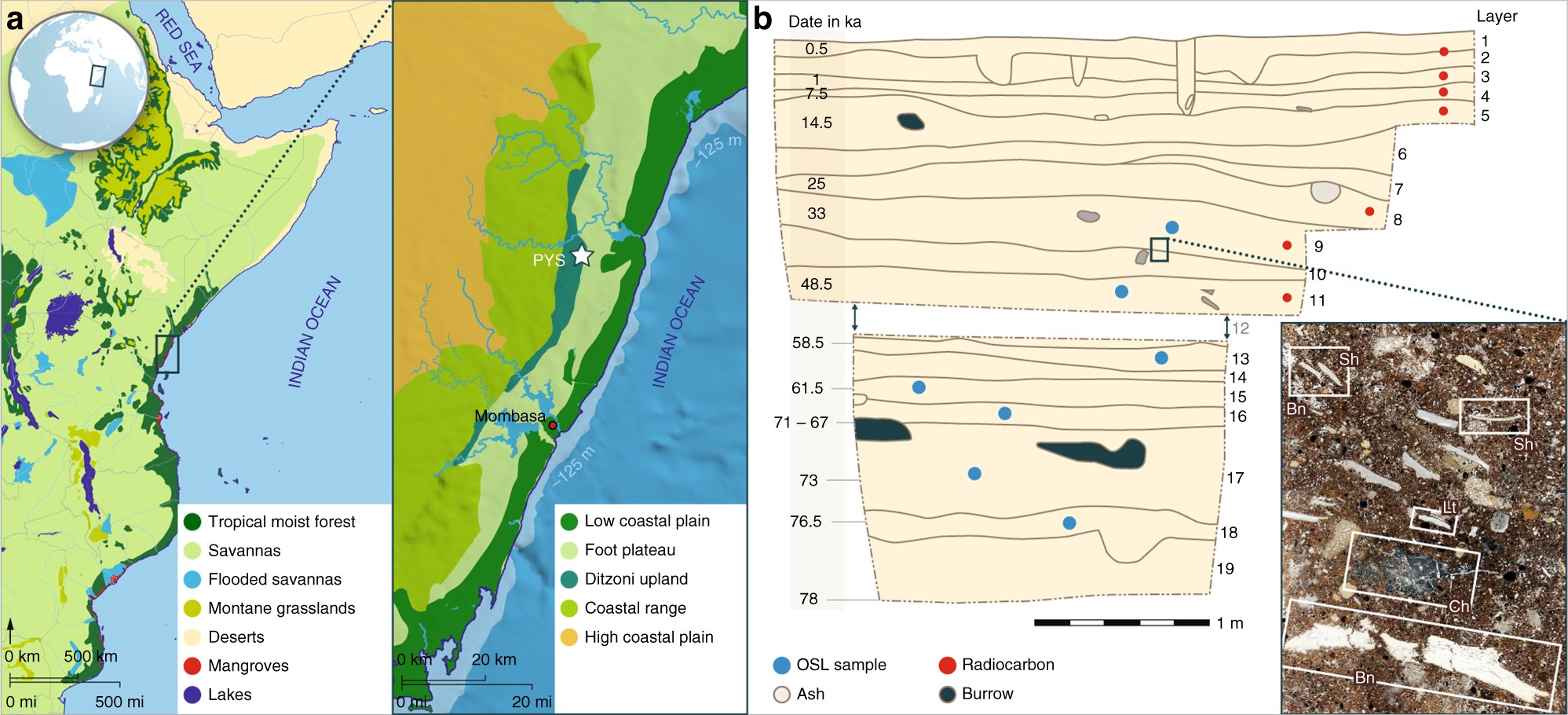 78,000-year-old record of Middle and Later Stone Age innovation in an East  African tropical forest | Nature Communications