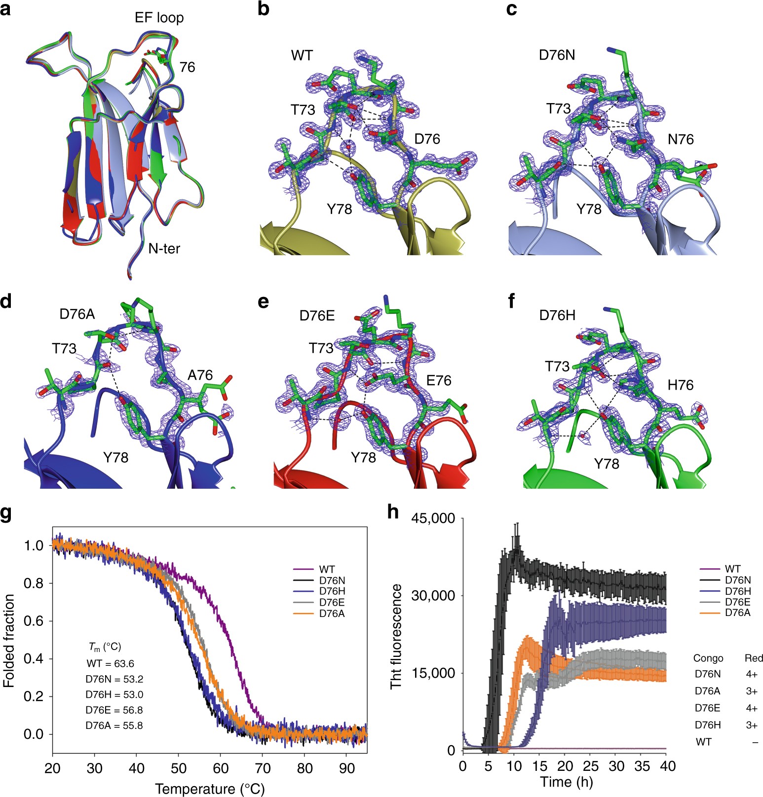 Conformational dynamics in crystals reveal the molecular bases for D76N  beta-2 microglobulin aggregation propensity | Nature Communications