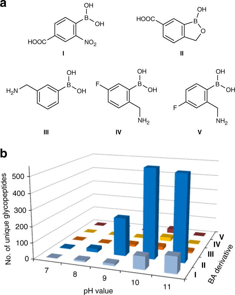 An Enrichment Method Based On Synergistic And Reversible Covalent Interactions For Large Scale Analysis Of Glycoproteins Nature Communications