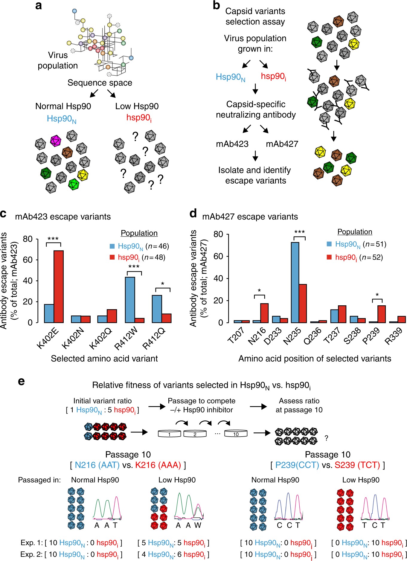 Hsp90 Shapes Protein And Rna Evolution To Balance Trade Offs
