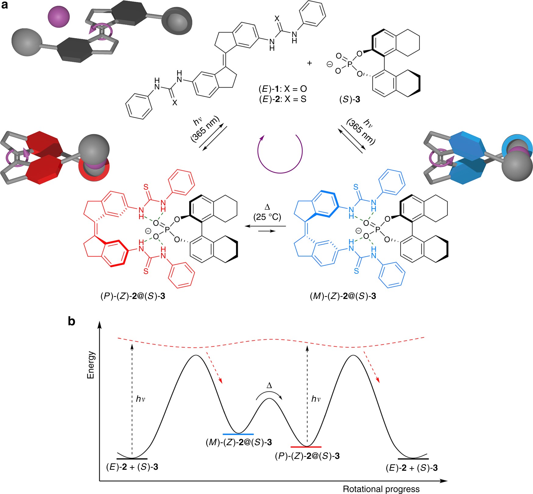 Supramolecularly Directed Rotary Motion In A Photoresponsive Receptor Nature Communications