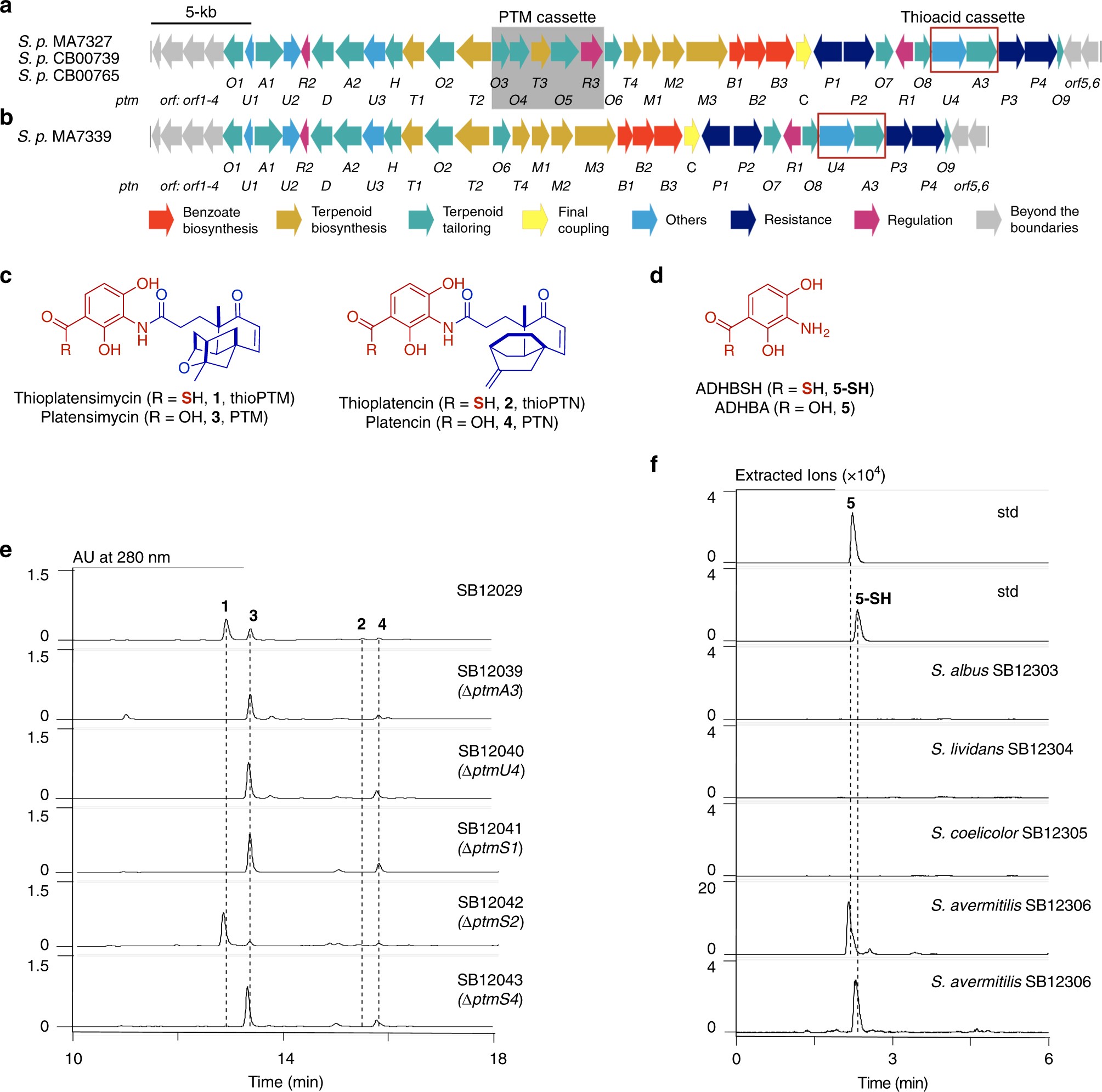 Biosynthesis Of Thiocarboxylic Acid Containing Natural Products Nature Communications Biosynthesis Of Thiocarboxylic Acid Containing Natural Products Nature Communications