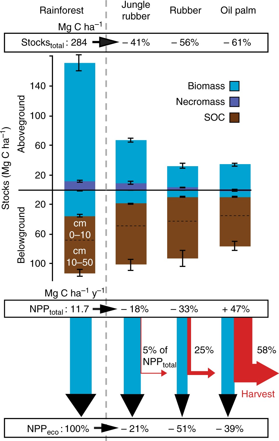 Survey shows potential impact of palm trees in quantifying rainforest  carbon - CIFOR-ICRAF Forests News