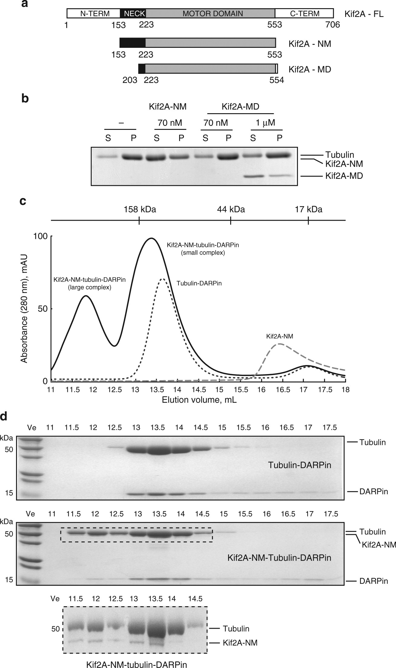 ternary complex of kif2a bound tandem tubulin heterodimers