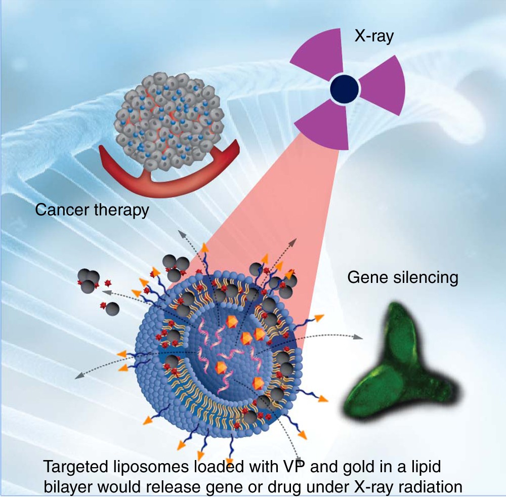 X Ray Radiation >> Controlled Gene And Drug Release From A Liposomal Delivery Platform X Ray Radiation >> Controlled Gene And Drug Release From A Liposomal Delivery Platform