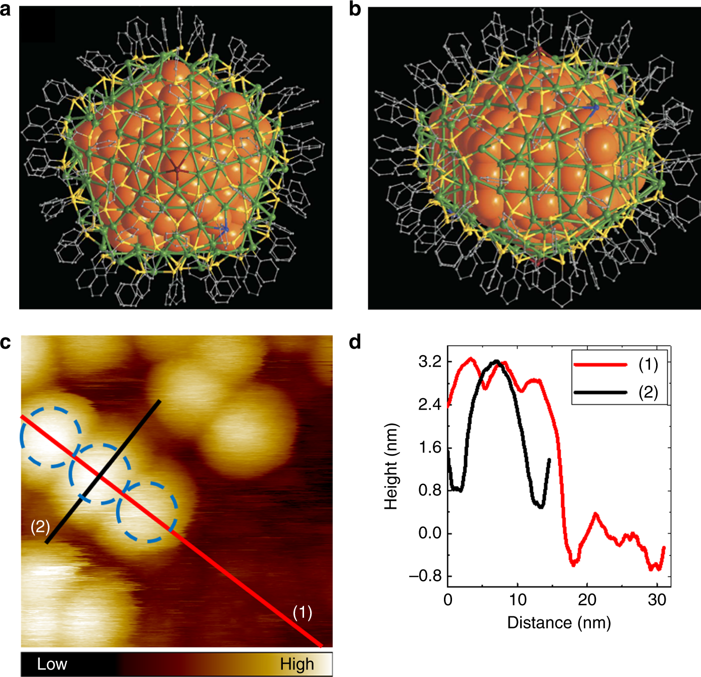 Real Space Imaging With Pattern Recognition Of A Ligand Protected