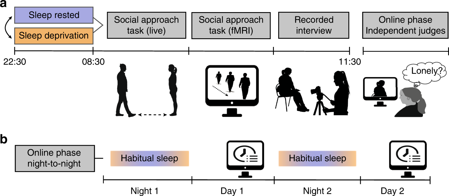 social media does not make us lonely