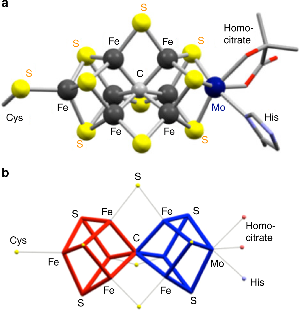 N2 Activation On A Molybdenum Titanium Sulfur Cluster Nature Communications