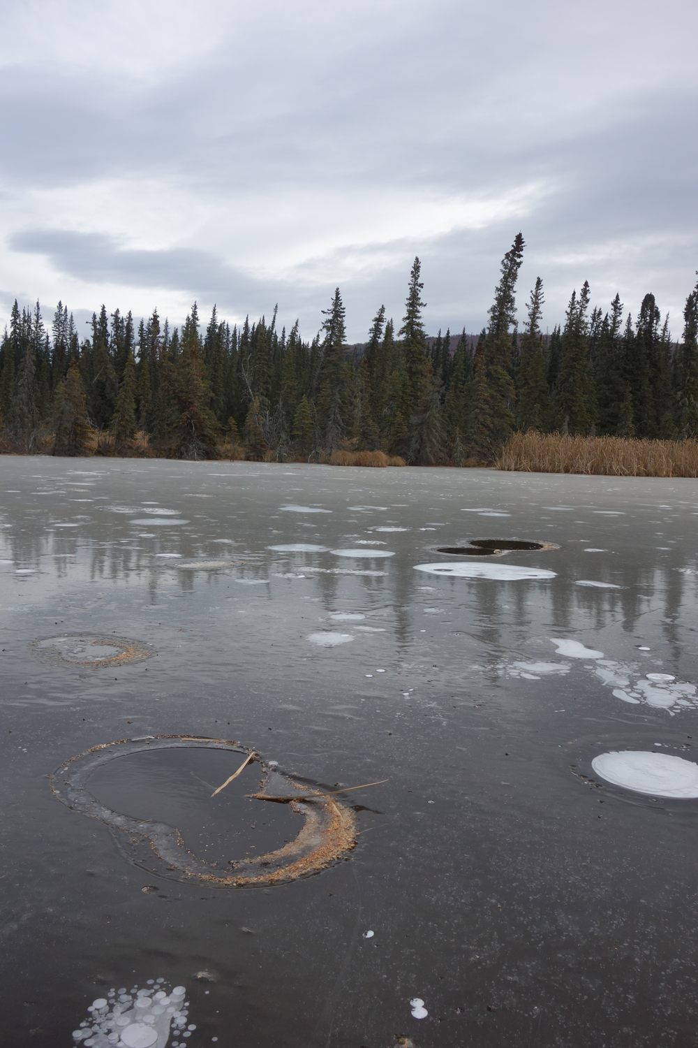 Drying of tundra landscapes will limit subsidence-induced acceleration of  permafrost thaw