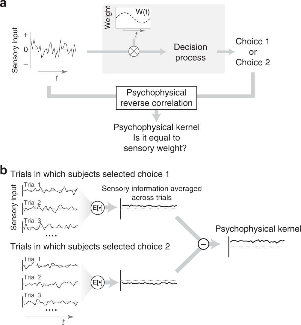 psychophysics example