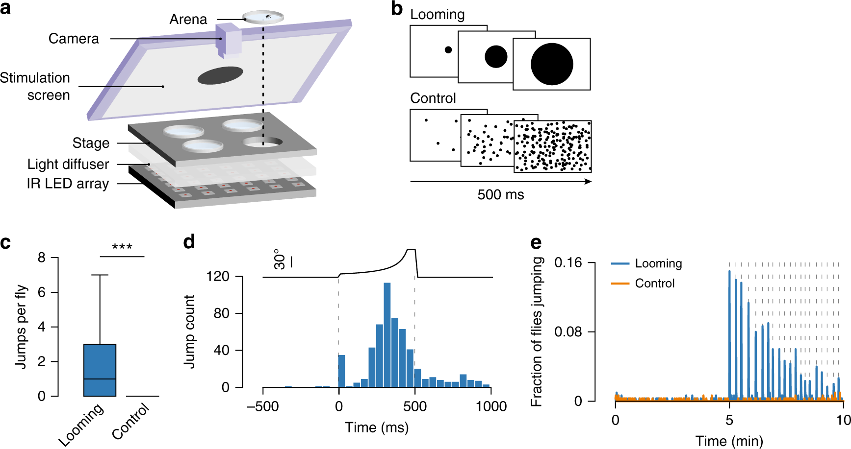 Speed Dependent Descending Control Of Freezing Behavior In Drosophila Melanogaster Nature Communications