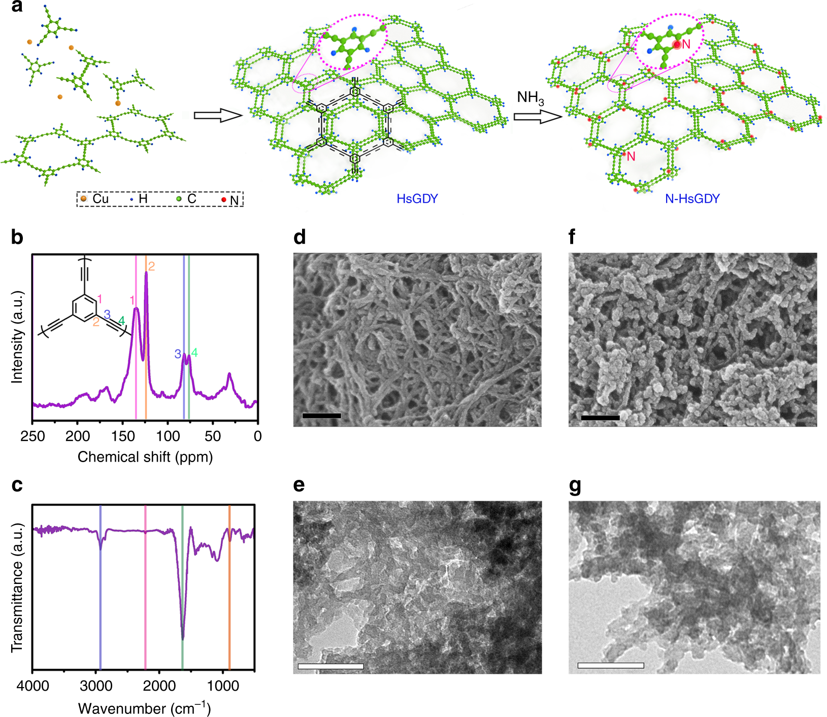 The influence of heteroatom doping on the performance of carbon-based  electrocatalysts for oxygen evolution reactions