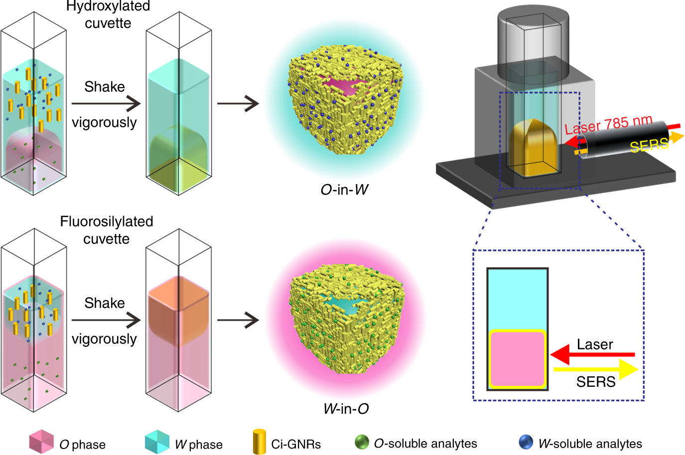 Liquid State Quantitative Sers Analyzer On Self Ordered Metal Liquid Like Plasmonic Arrays Nature Communications Liquid State Quantitative Sers Analyzer On Self Ordered Metal Liquid Like Plasmonic Arrays Nature Communications