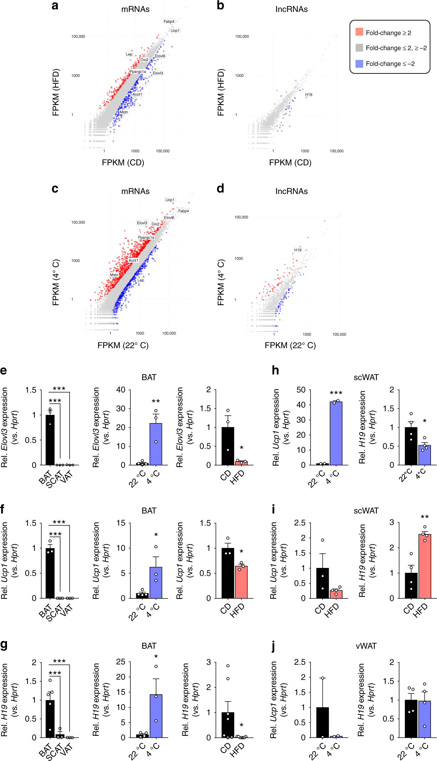 LincRNA H19 protects from dietary obesity by constraining expression of monoallelic genes in brown fat Nature Communications